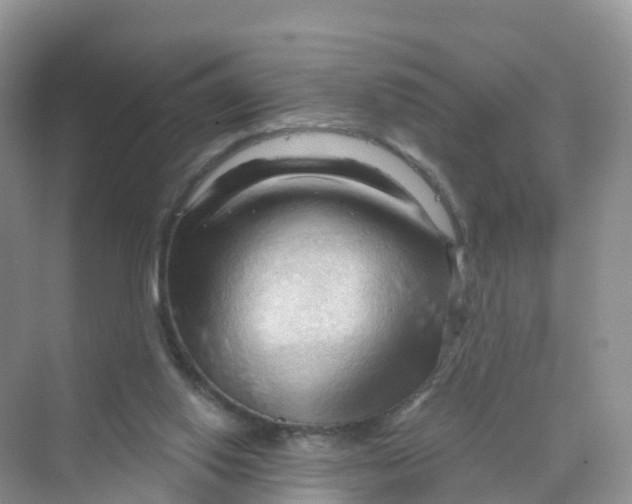 X0000070160062200606162041