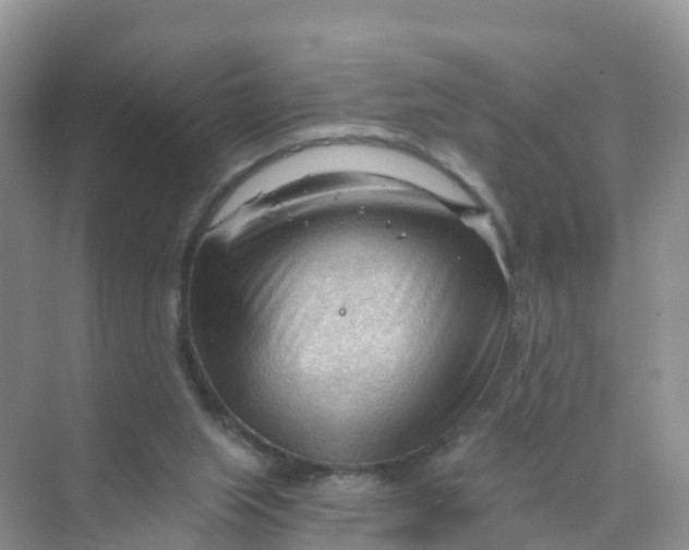 X0000070160063200606162041