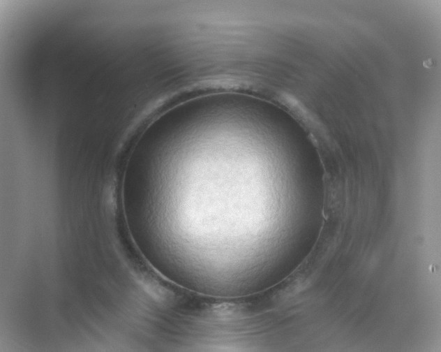 X0000070160064200606162041