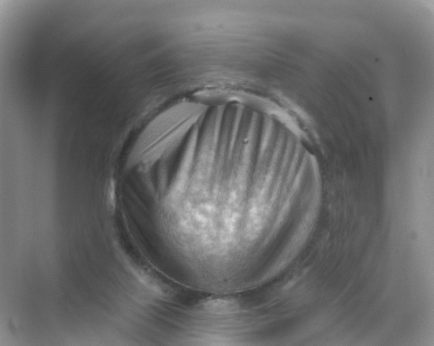 X0000070160067200606162041