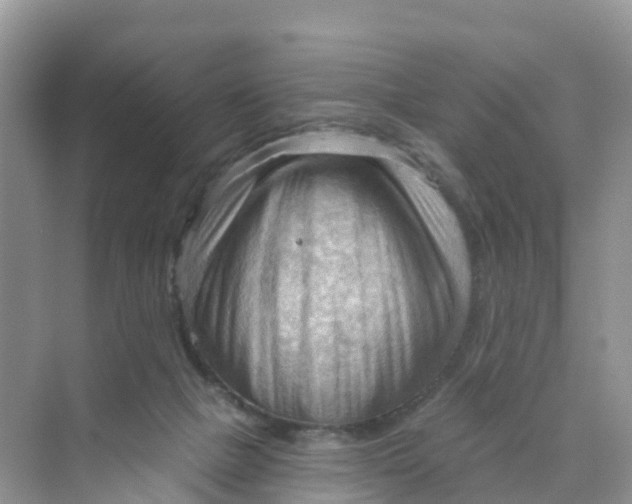 X0000070160073200606162041