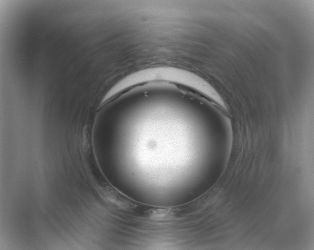 X0000070160088200606162041