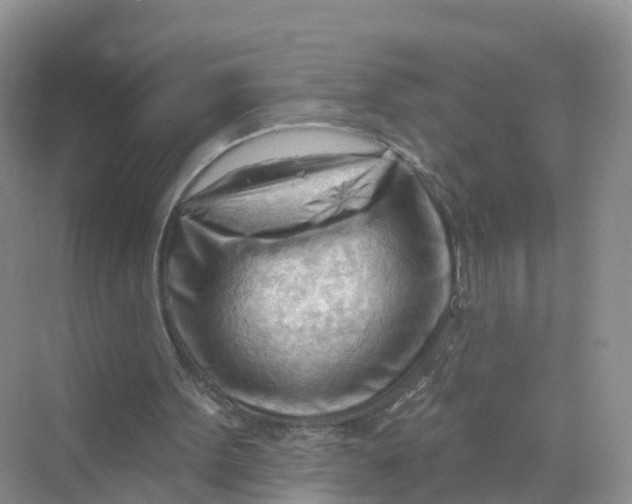 X0000070160099200606162040