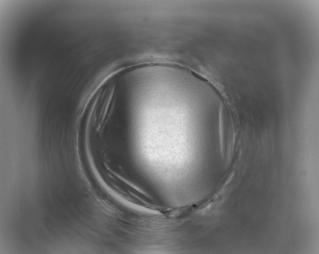 X0000070160103200606162040