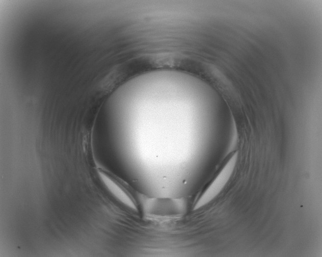 X0000070160125200606162040