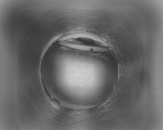 X0000070160147200606162039