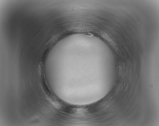 X0000070160165200606162039