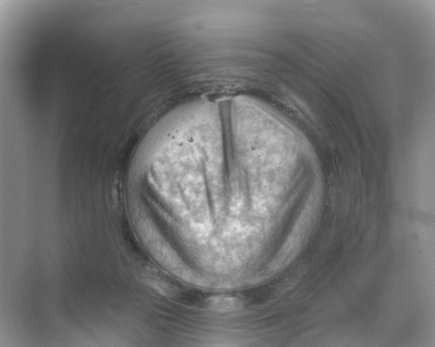 X0000070160169200606162039