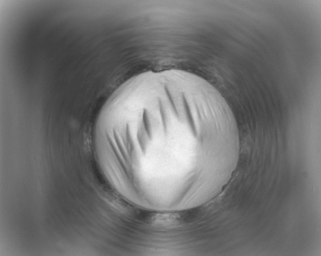 X0000070160179200606162039