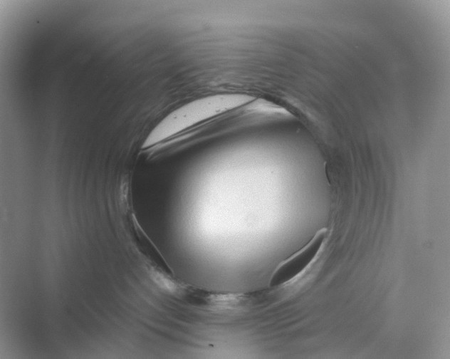 X0000070160192200606162040