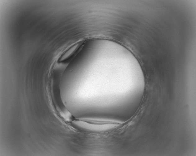 X0000070160193200606162039
