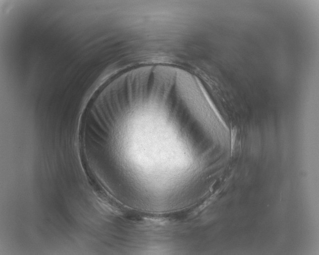 X0000070160195200606162039