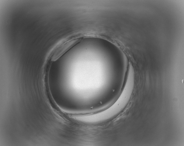 X0000070160197200606162039