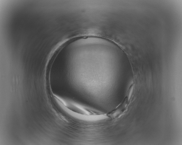 X0000070160200200606162039