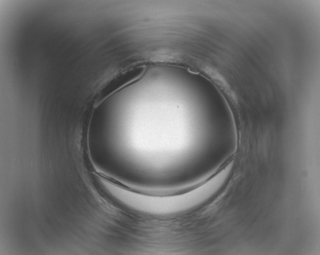 X0000070160201200606162039