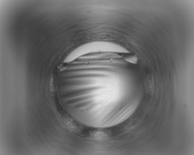 X0000070160224200606162038