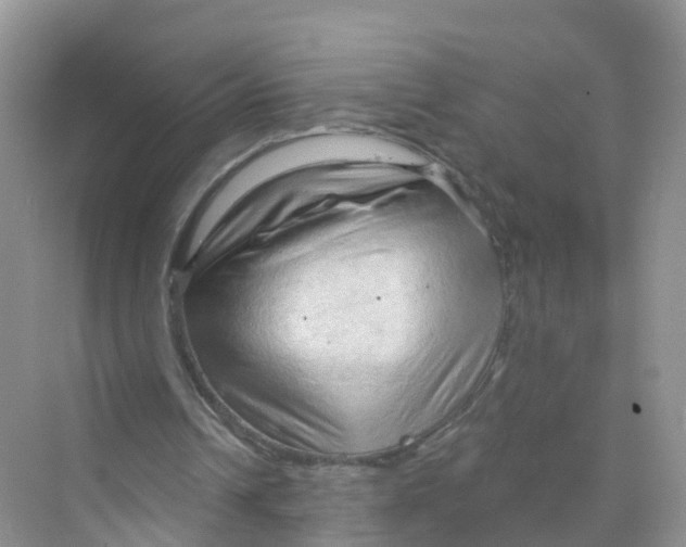 X0000070160242200606162037