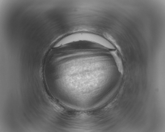 X0000070160249200606162037