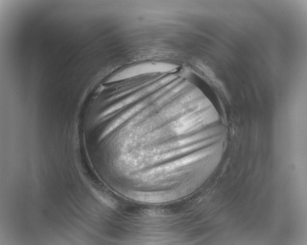 X0000070160250200606162037
