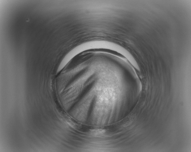 X0000070160266200606162038