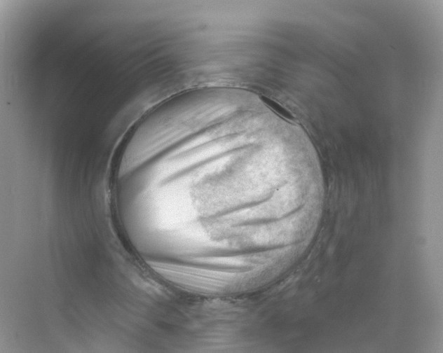 X0000070160290200606162037