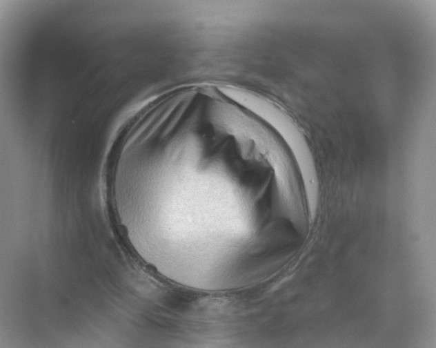 X0000070160294200606162037