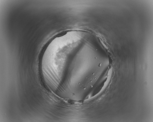 X0000070160295200606162037