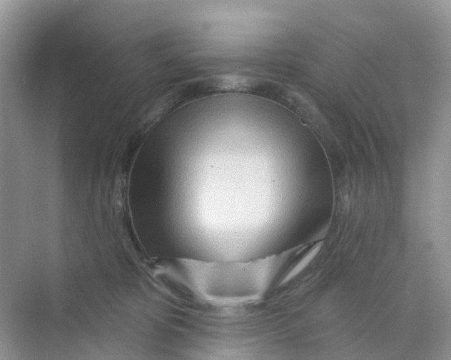X0000070160325200606162037