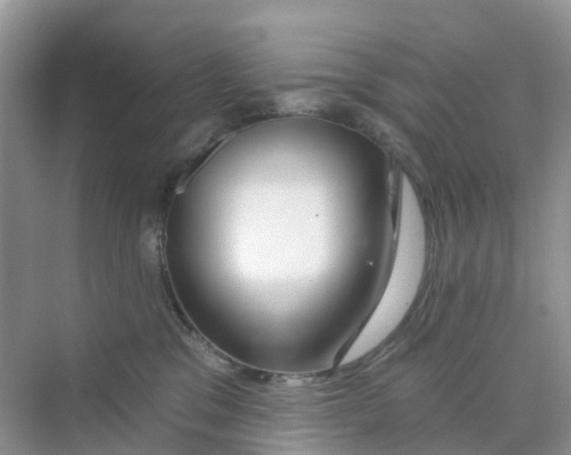 X0000070160329200606162036