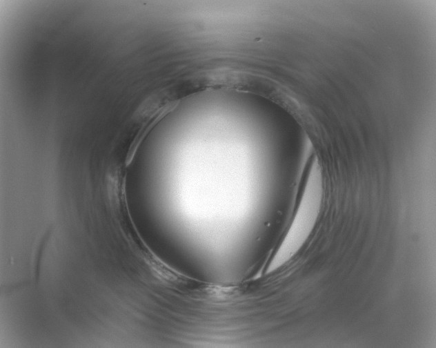 X0000070160333200606162036