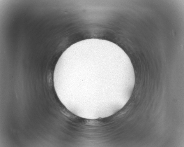 X0000070160336200606162036