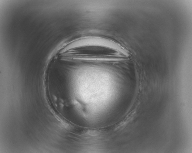 X0000070160341200606162036