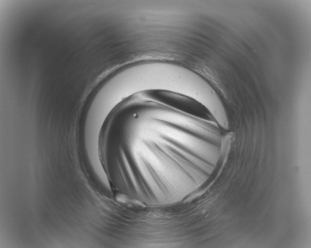 X0000070160348200606162036