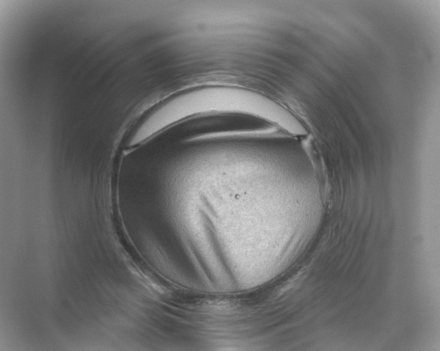 X0000070160349200606162036