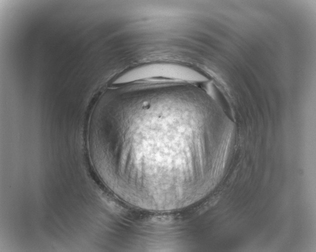 X0000070160353200606162036