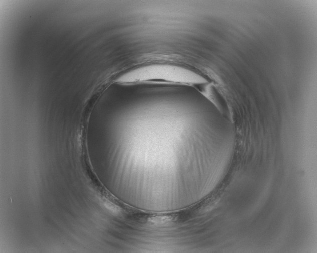 X0000070160357200606162036