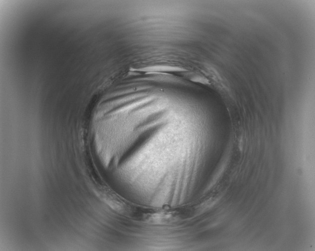 X0000070160366200606162036