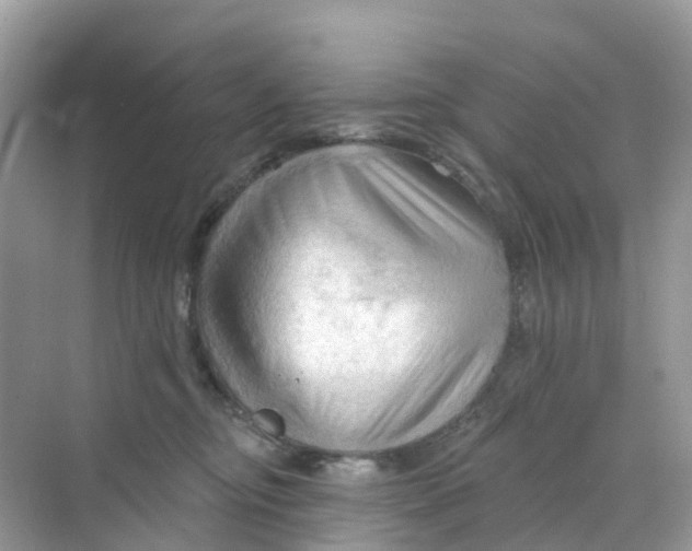 X0000070160374200606162036