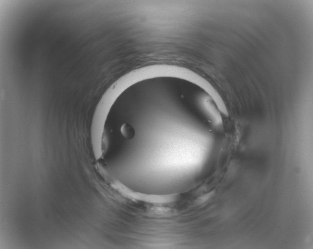 X0000070160380200606162036