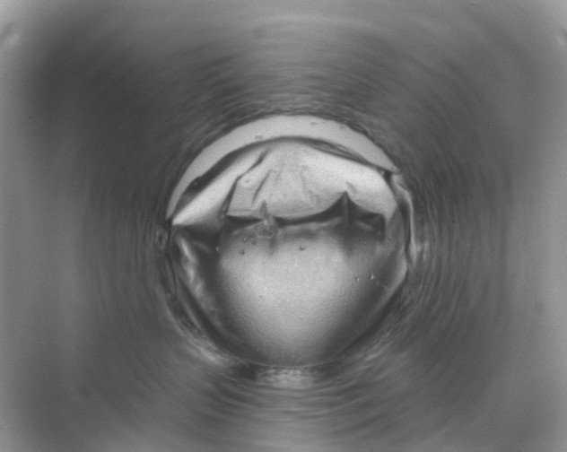 X0000070160383200606162036