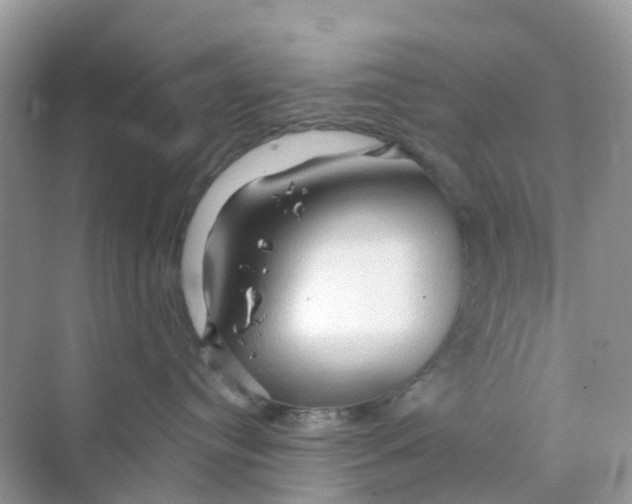 X0000070160384200606162036