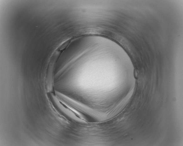 X0000070160386200606162035