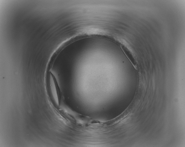 X0000070160391200606162035