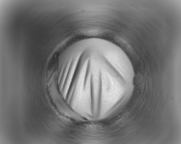 X0000070160400200606162035