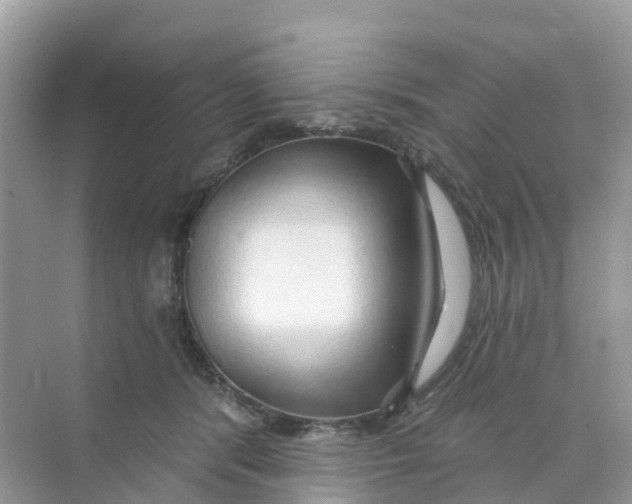 X0000070160416200606162035