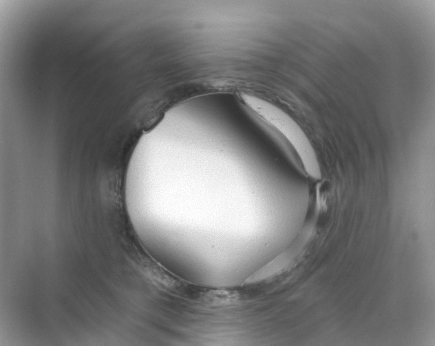 X0000070160421200606162035