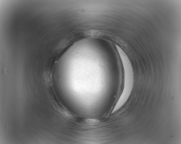 X0000070160429200606162035
