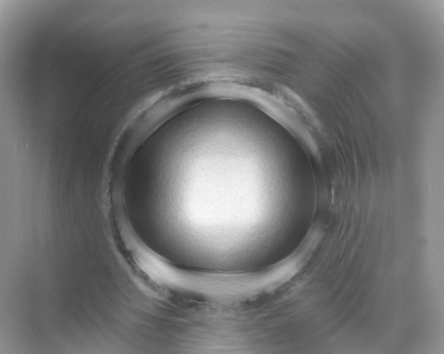 X0000070160436200606162034
