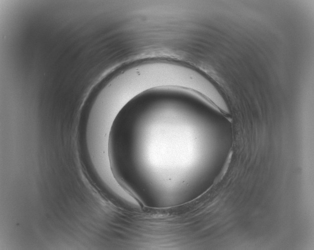 X0000070160440200606162034