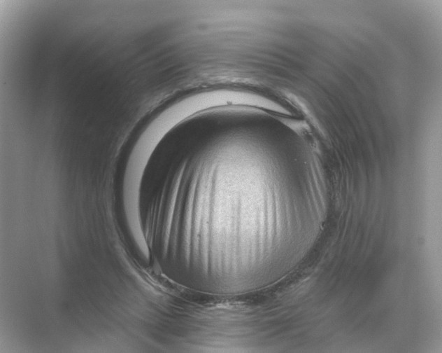 X0000070160447200606162034